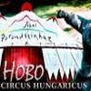 Circus Hungaricus, egy nagylemez olvasata