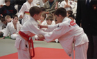 Békéscsabai sportolók sikerei a 13. Masters Judo Open-en